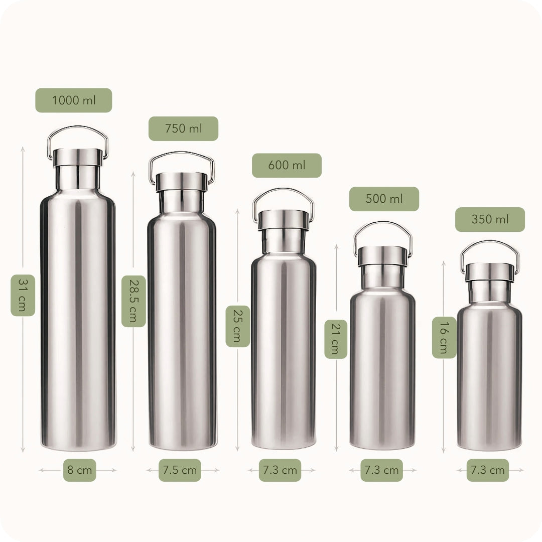 Insulated Stainless Steel Bottle | Built to Last