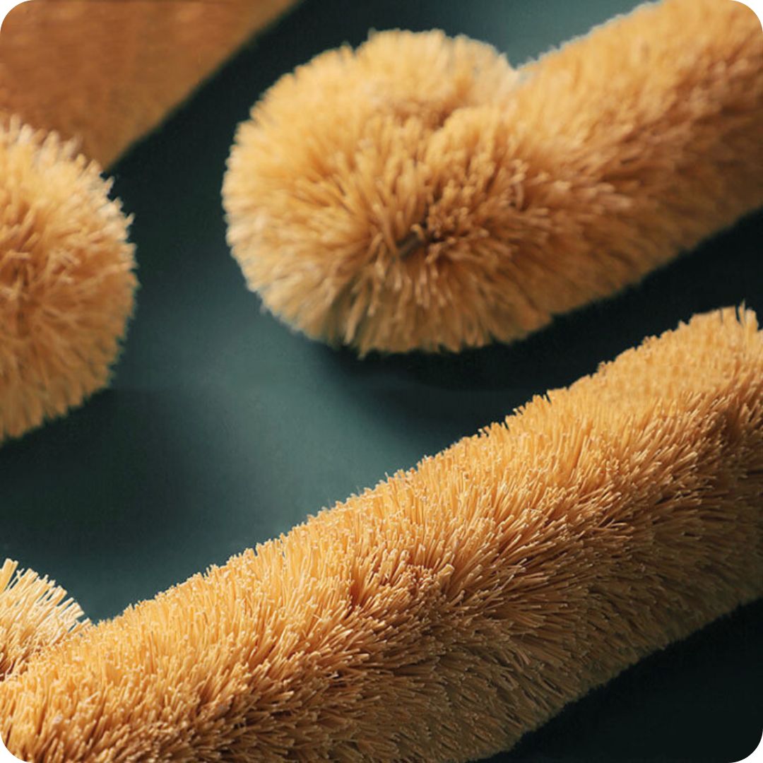Natural Coconut Fibre Brush